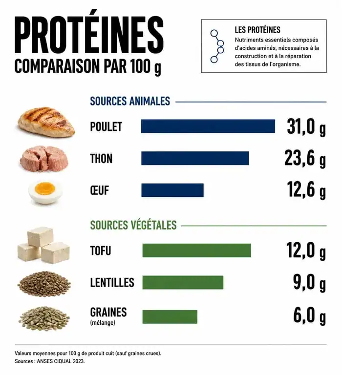 Comparatif des sources de protéines animales et végétales pour un repas riche en protéine