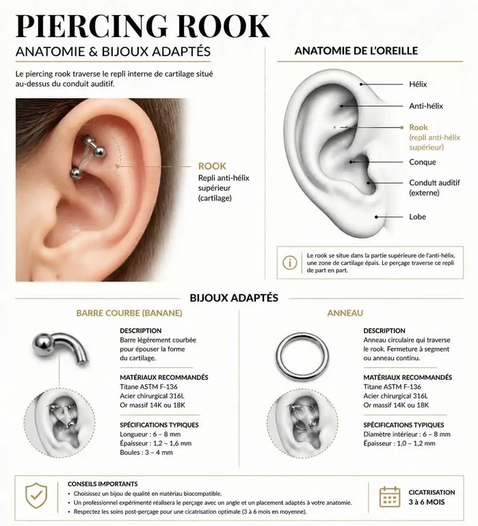 Schéma anatomique de l'emplacement du piercing rook et types de bijoux adaptés
