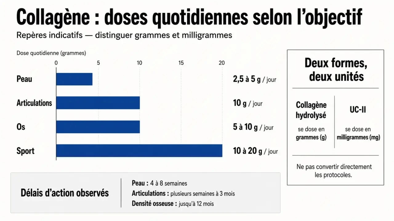 Combien de collagene par jour : infographie des doses selon la peau, les articulations et le sport